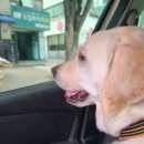 동물사랑세상 의료센터 이미지