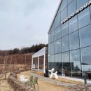 펫라운지 애견유치원 애견호텔 애견미용 이미지