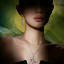 키린 카카오 검색결과