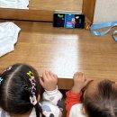 호돌이목장 이미지