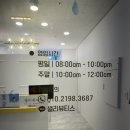 샐리에스테틱