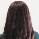 미헤어칼라 이미지