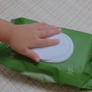 베이베나라 이미지