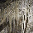 제주세계자연유산센터 세계유산전시관 이미지