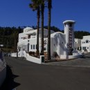 동하동 | 제주올레 22, 제주올레 9코스, 대평 - 화순 올레 걷기