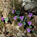 지경약수터 | 64/100 Playing with 주흘산