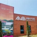 경기도 수원시 팔달구 정자천로14번길 이미지