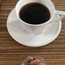 게으른토끼