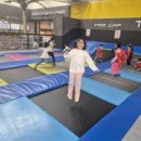 THE바른태권도 이미지