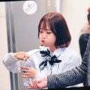 솜댕 이미지