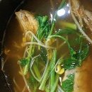 파도복어 이미지