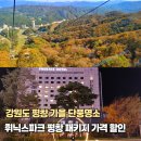 휘닉스평창 콘도미니엄(1차) | 휘닉스파크 평창 패키지 가격 할인 특가 주변 단풍명소