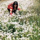 민들레산업 이미지