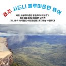 블루마운틴관광호텔 | 시드니 블루마운틴 페더데일 오픈런 투어 후기 | 시닉월드 포함