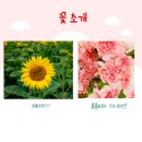 송산사회복지관 | (양성평등기금사업)그림책원예테라피 가족애 공감 프로그램 '감사꽃바구니 만들기' 당진 송산사회복지관