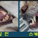 서현 덴탈 이미지