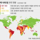 정부 낙태죄 개정안에 대한 반응보면 원한질이군요 이미지