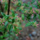 울타리영농조합법인 이미지