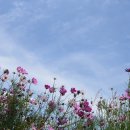 대저생태공원 이미지