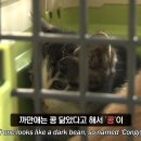 엄마의공방 이미지