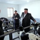 내리농장 이미지