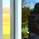 포두북부게이트볼장 | [경남/창원] 창원 애견동반여행 우영우팽나무(동부마을),주차,천연기념물 이상한변호사우영우 촬영지...