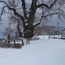 산골정육점 이미지