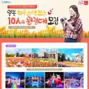 티엔티(TNT)