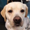 도킹어바웃 이미지