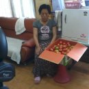 목화약국 이미지