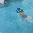블루라군수영장 | 5살 수영 수업 후기_목동 유아수영 키즈수영 블루라군 레벨업점 1년 후기