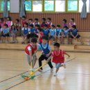 다압초등학교 이미지