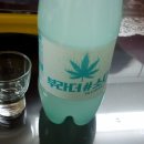 부라더유통 | 부라더소다 처음 먹어봤는데 쥑이네예~