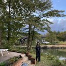 포레드노드 이미지