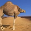 루 펜션 이미지