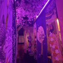 복내식당 | 건대술집 건대데이트 코스로 강추!! 분위기 가성비 다잡은 오마카세! 🍀 요비 건대입구본점 후기 🐟