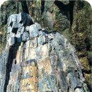 화석(규화목) 이미지