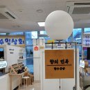 향의민족