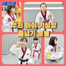 국가대표 스페셜태권도장 이미지