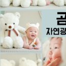 애니 스튜디오 이미지