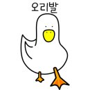 예소뷰티