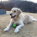 까까맘마 이미지