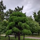 안산화랑오토캠핑장 이미지