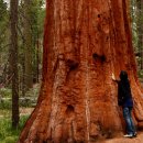 천년숲서로(서) 이미지