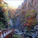 초보자를 위한 설악산(雪嶽山) 등산코스 읽기.. 이미지