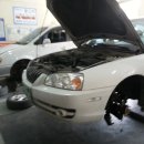 대우카포스 이미지