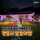 달빛강가 | 아산 현충사 달빛야행, 가을 공연보고 산책하며 힐링했어요