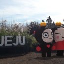 ㈜사려니 이미지