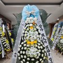함백산플라워