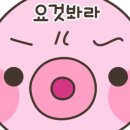 규니왕타코 네이버블로그